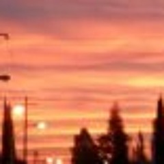 Pako Elizalde Cortés