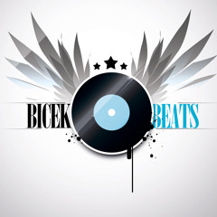 the game- wouldn't get far feat. kanye west (bicek remix)