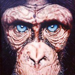 Bienvenu Hosgel Moukassa