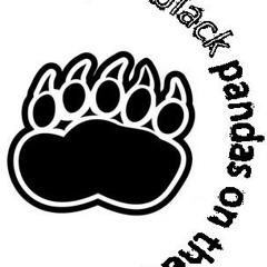 TheBlackPandasOnTheRoad