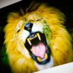 Jungle-Café Bordeaux