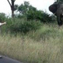 Charlie Casson-smith