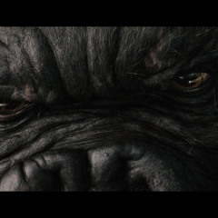 Sr.KONG