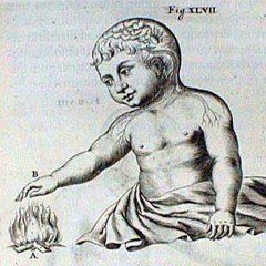 Basura Blanca Noise NZ