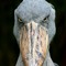 --->shoebill<----
