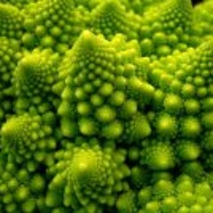 Chip Jockey- SIGNAL ELECTRIQUE