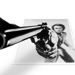privategun