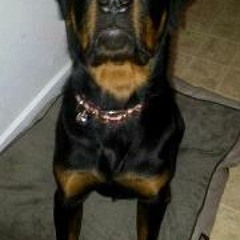 Scott Lindsay Randell