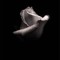 Judy Schultz