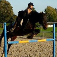 Sibylle De Tavernost