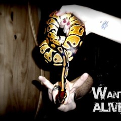 WantedAlive