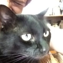 Alexandre Foch Severo