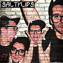 SALTYLIPS