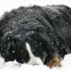 Le Coeur, Bye-Bye City