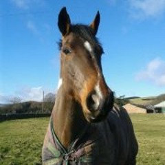 Rebecca Louise Bruce