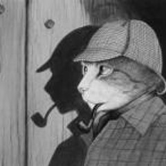 Aleksandra Jankovic 1