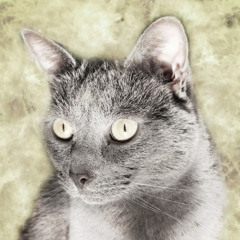 The Bastards of Fate