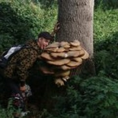 Christian Winther ॐ