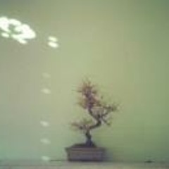 Thibault Maurel de Maillé