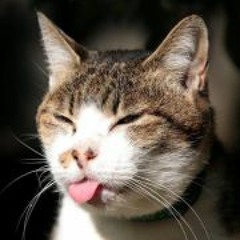 Sounds from Friday night