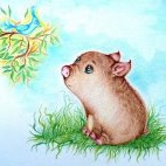sviintus