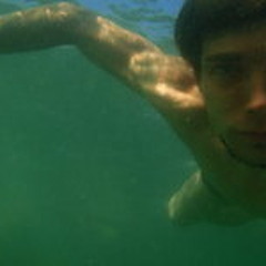 Nico Thelemann