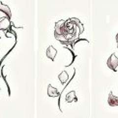 Alexandra Prevedoros