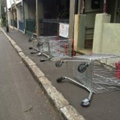 Tish The-dish Yerbury