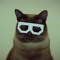 smoovindecat