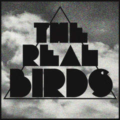 The RealBirds