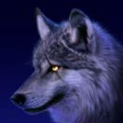 Henry Pineda Mendoza