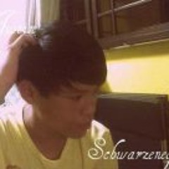 Justin Schwarzenegger