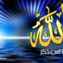 سورة المنافقون