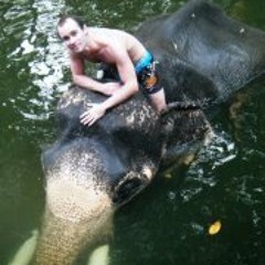 Stephen James Brassett