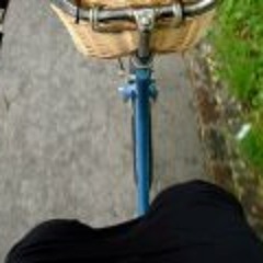 halldora hafdisardottir