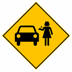 My Mother the Carjacker