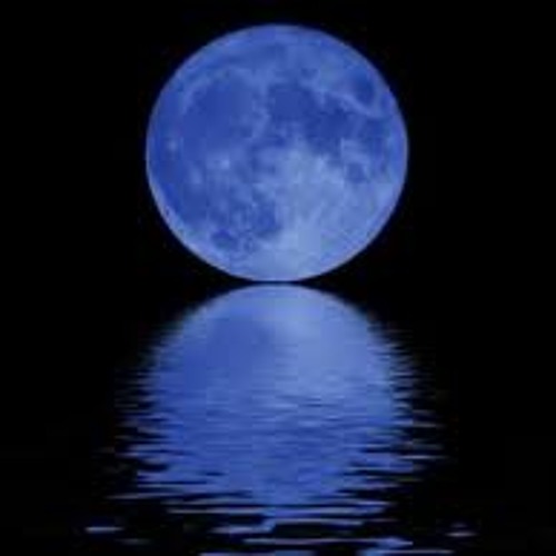 Blue Moon Landscapes’s avatar