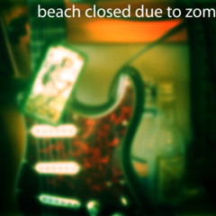 BeachClosedDueToZombies