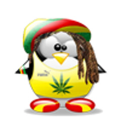 Dub Tv Roots