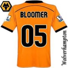 Scott Bloomer