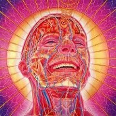 Lasse Daugaard Bentzen