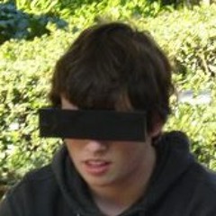 Pieter-Jan Van Branden