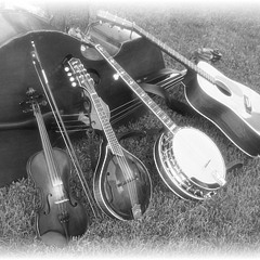 Absent Minded String Band