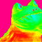 hippiedude5