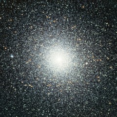 Dace Montgomery Robertson