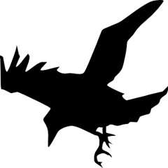 BirdLaw