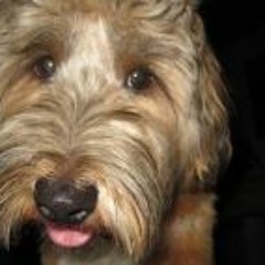 Rebecca Anne Richardson