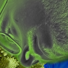 I giorni - Ludovico Einaudi (BBRST remix)