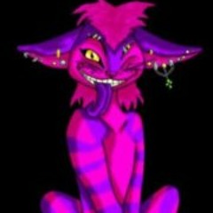 tierheim23@hotmail.com