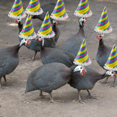 JetSkii-Parade-Monkey